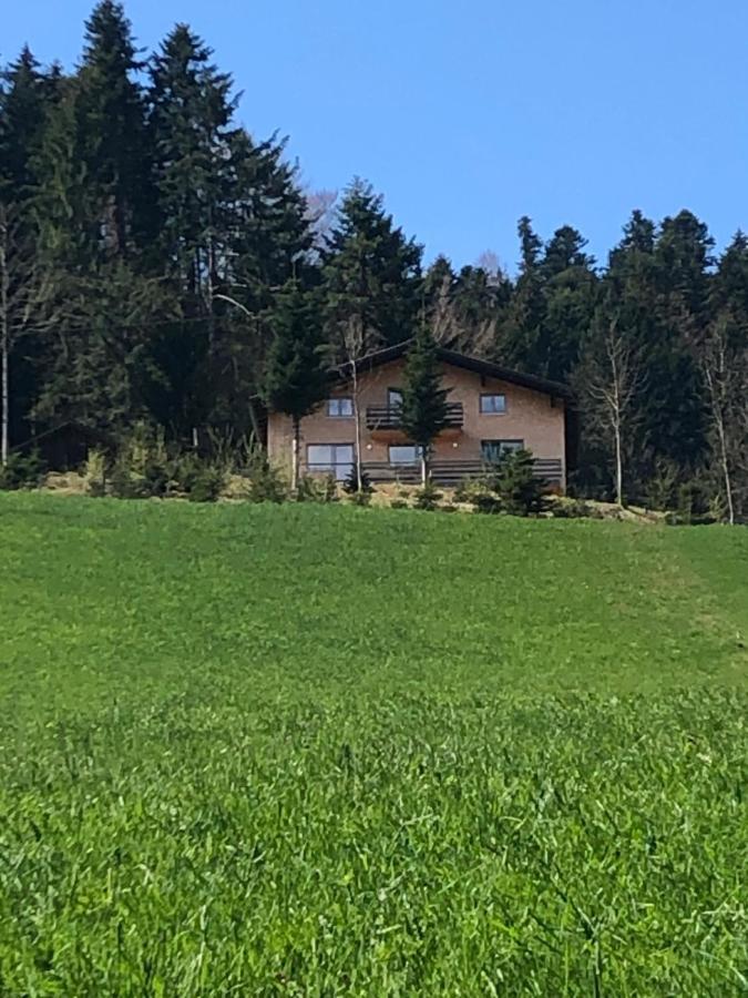 Ferienhaus Am Waldrand Von Egg Bregenzer Wald Exterior foto